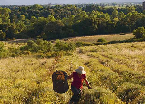 Sustainable Sourcing